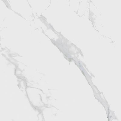 7908545818773-1